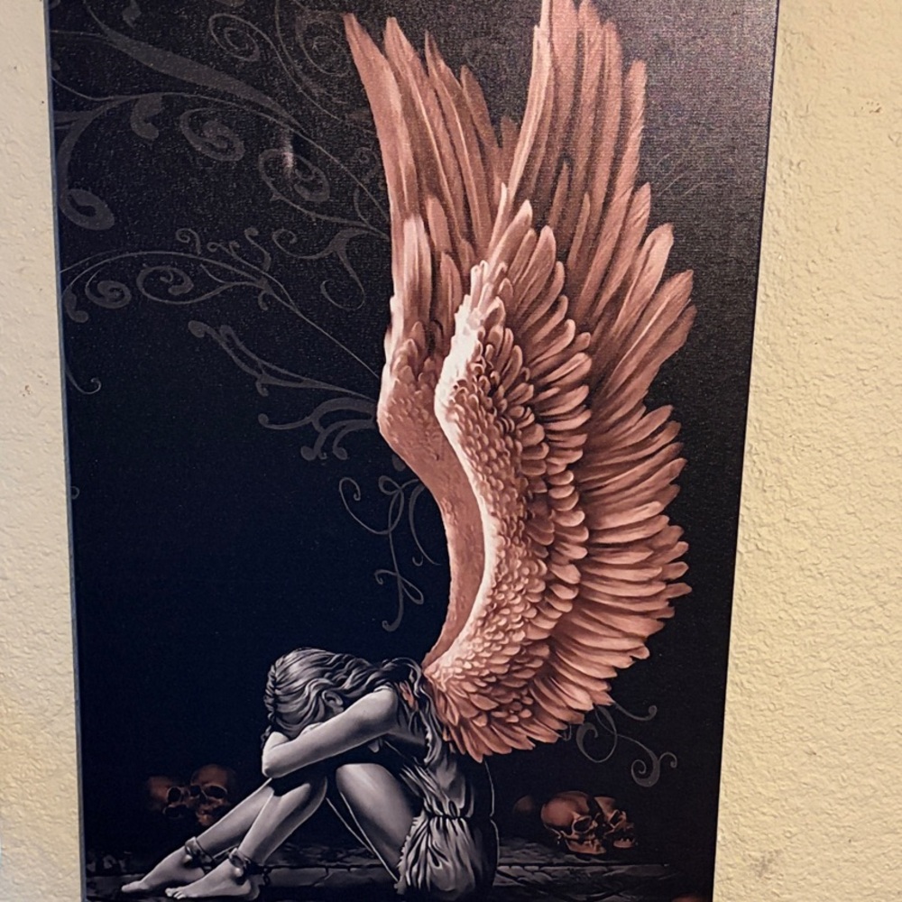 Angel Wings Wall Art Canvas - Pink Wings on Black